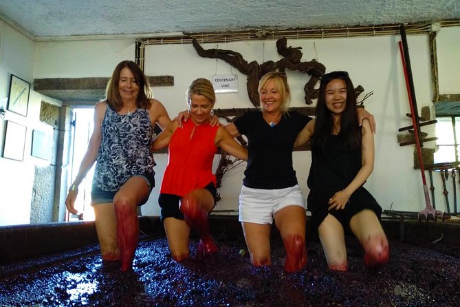 Wine Venture and Boat Trip in Douro Valley from Porto - Why the small group (8) feels different in Douro