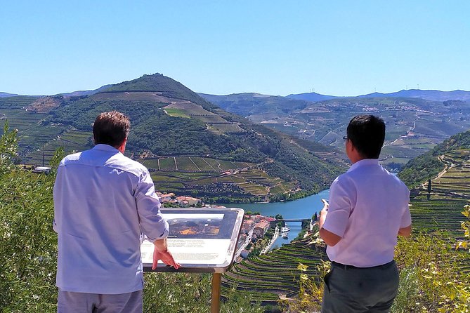 Wine Venture and Boat Trip in Douro Valley from Porto - Price and value: what you’re paying for at about $199.53