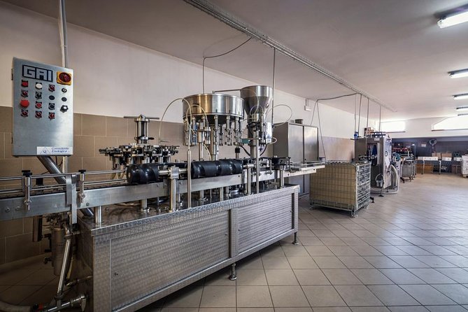 Winemaker for a Day: Tour an Organic Winery - Winery tour time: vine to bottle (not just a showroom walk)