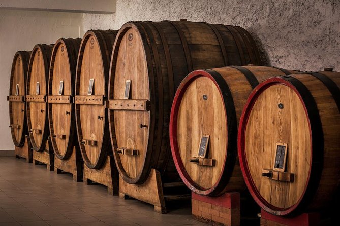 Winemaker for a Day: Tour an Organic Winery - The tasting lineup: five organic wines plus proper pairing food