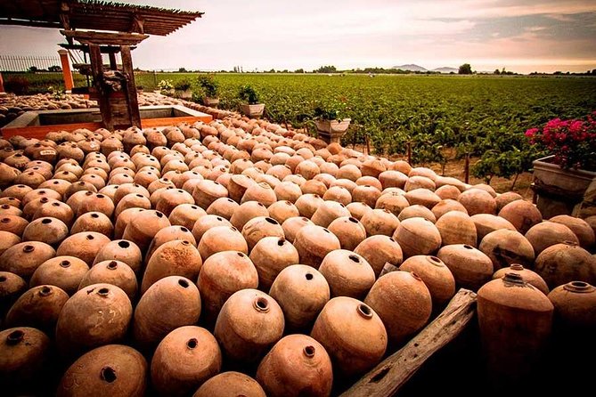 Winery and Pisco Distillery tour - Group size and guide attention: what max 12 really changes