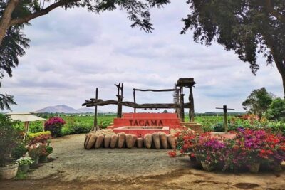 Winery and Pisco Distillery tour - La Vieja Bodega Lovera: the Spanish cellar moment