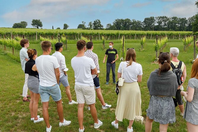 Winery Tour and Tasting of Garda Wines in Lazise - Getting to Bergamini Vini in Colà: location and timing