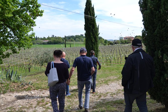 Winery Tour and Tasting of Garda Wines in Lazise - Cellar tour: the winemaking process, step by step