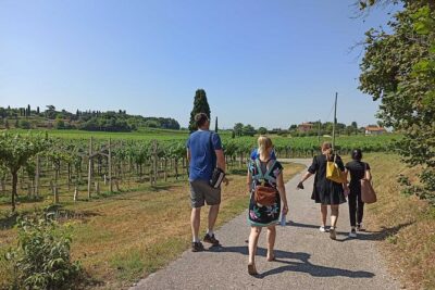 Winery Tour and Tasting of Garda Wines in Lazise - Meet your host and the family-run setup