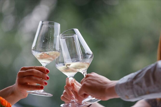Winery Tour and Tasting of Garda Wines in Lazise - Tasting the wines: Bardolino, Chiaretto, Custoza and more