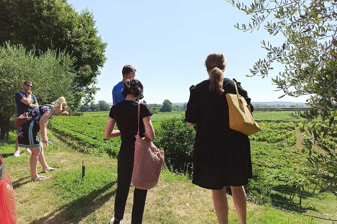 Winery Tour and Tasting of Garda Wines in Lazise - Group size, language mix, and how to get the most out of it