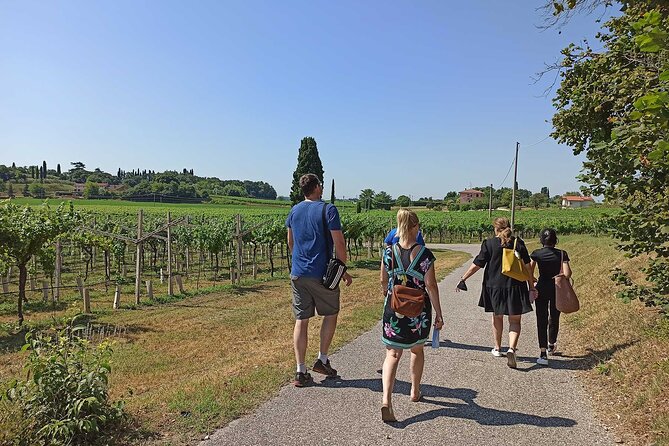 Winery Tour and Tasting of Garda Wines in Lazise - Meet your host and the family-run setup