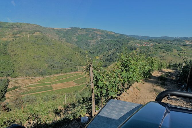 Winery Tour and Wine Tasting Quinta da Portela de Baixo in Lamego - Quinta da Portela de Baixo: more than a glass-passing stop