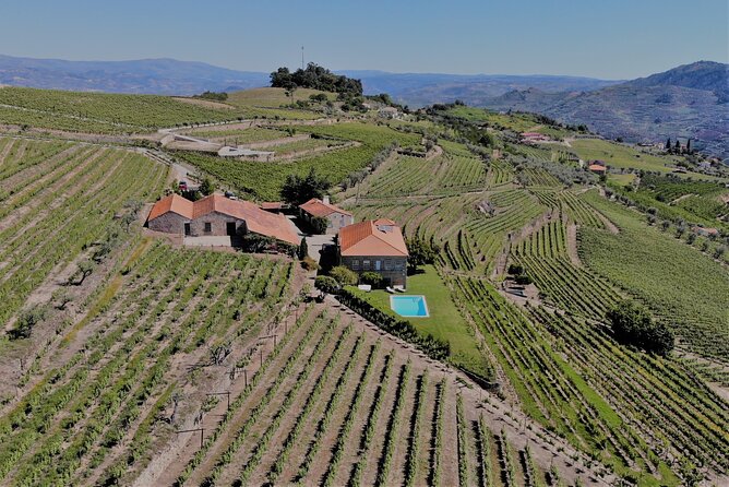 Winery Tour and Wine Tasting Quinta da Portela de Baixo in Lamego - The museum spaces: why the tour part matters for first-timers