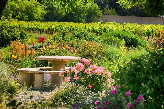Winery Tour & Wine Tasting - Deli Plate & 3 Wines - Pace and group size: what a max of 50 people means in practice
