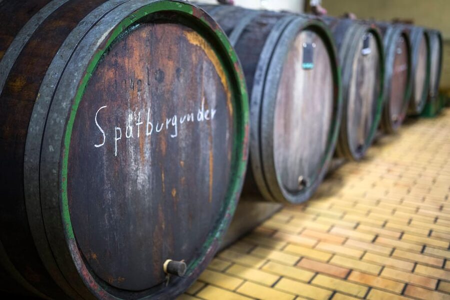 Winetasting with tour through the winery - Key things I’d mark on your plan