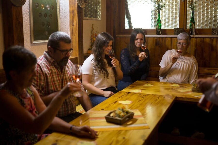 Winetasting with tour through the winery - Should you book this winetasting tour?