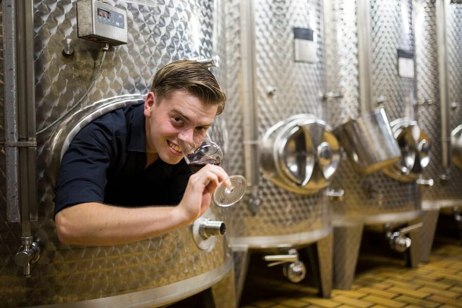 Winetasting with tour through the winery - The vineyard story: what you’re really learning