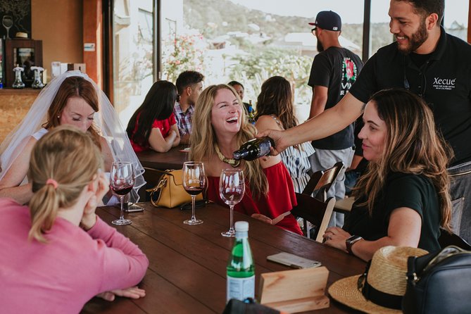 Xecue Wine Tasting in the Guadalupe Valley - The vineyard and estate story: what you’ll actually get from the walk