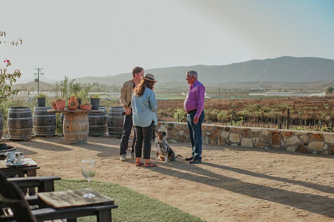 Xecue Wine Tasting in the Guadalupe Valley - The food pairing: grilled beef ribs and a cheese board that keep things moving