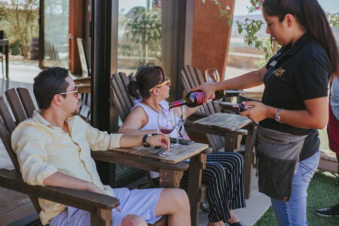 Xecue Wine Tasting in the Guadalupe Valley - Service reality check: great guidance, but watch the pace