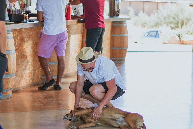 Xecue Wine Tasting in the Guadalupe Valley - What the Guadalupe Valley tasting does well for different travelers