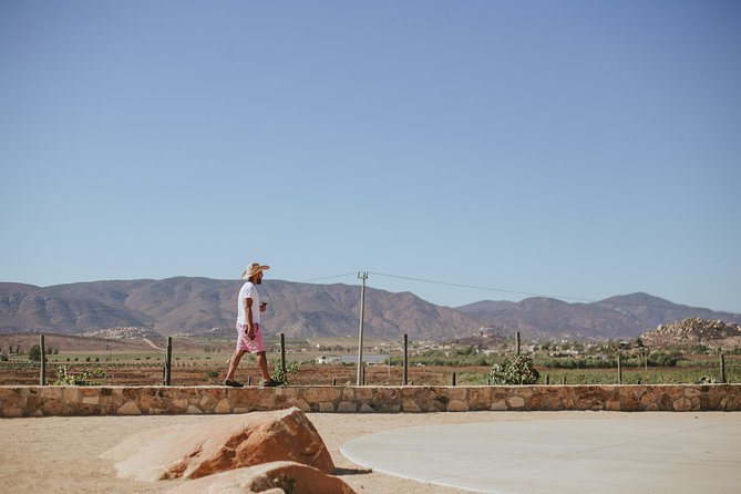 Xecue Wine Tasting in the Guadalupe Valley - Group discounts and choosing a tour time like a local