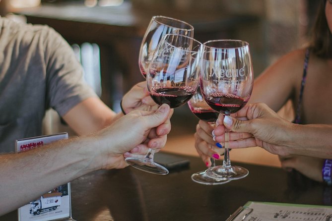 Xecue Wine Tasting in the Guadalupe Valley - Should you book Xecue Wine Tasting in Guadalupe Valley?