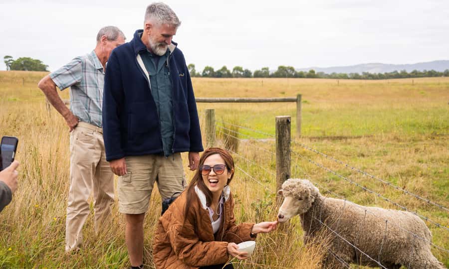 Yarra Valley Full Day Grazing Tour: Gin, Wine, Pizza, Cheese - Tips That Make the Day Smoother (Seats, Bags, and What to Bring)