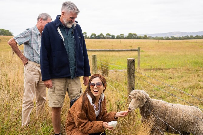 Yarra Valley Grazing Tour Wine, Cheese, Gin, Pizza from Melbourne - Price and value: what you get for $135.56 per person
