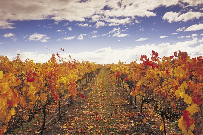 Yarra Valley Wildlife & Wine Day Tour with Healesville Sanctuary - Tips to make the day smoother (and more fun)