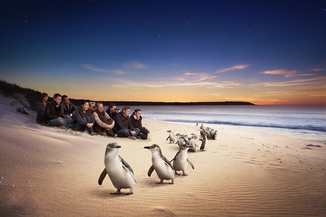 Yarra Valley Wildlife & Wine Day Tour with Healesville Sanctuary - Who this tour is best for