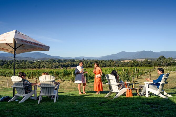 Yarra Valley wine and gin tour with Champagne Lunch at Chandon! - Key highlights that make this tour worth your time