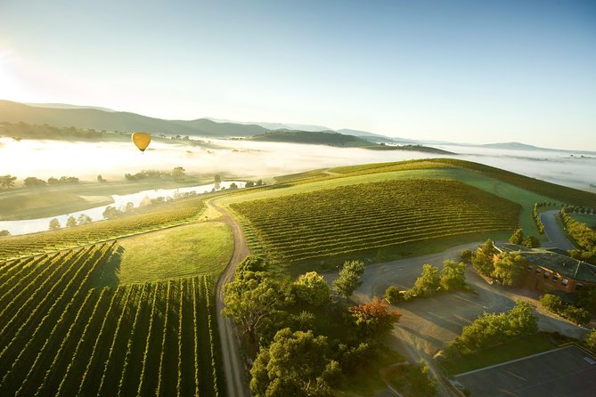 Yarra Valley Wine Day Tour - A full-day Yarra Valley plan that doesn’t feel like a factory