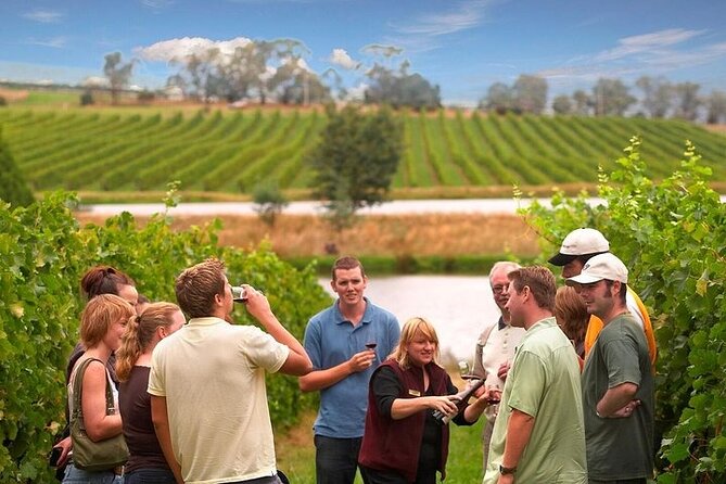 Yarra Valley Wine & Winery Tour from Melbourne - All Inclusive! - Key highlights at a glance