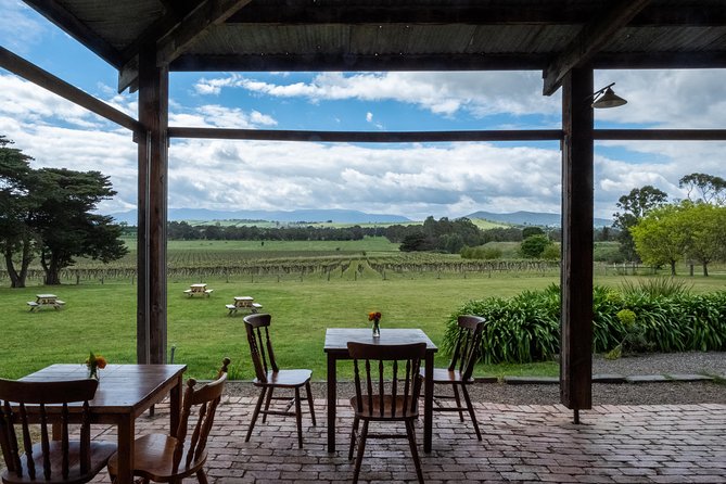 Yarra Valley Wine & Winery Tour from Melbourne - All Inclusive! - Price and Value: What You’re Paying For (and What You’re Avoiding)