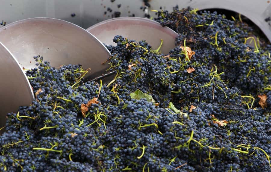 Yarra Valley: Winery Tour with Lunch at Yering Station - The Melbourne-to-Yarra Valley drive (and why timing matters)