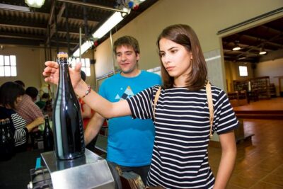 Your Cava, Your Story – Wine workshop experience at Artcava - Cava tasting in the real world: comparing at least three bottles