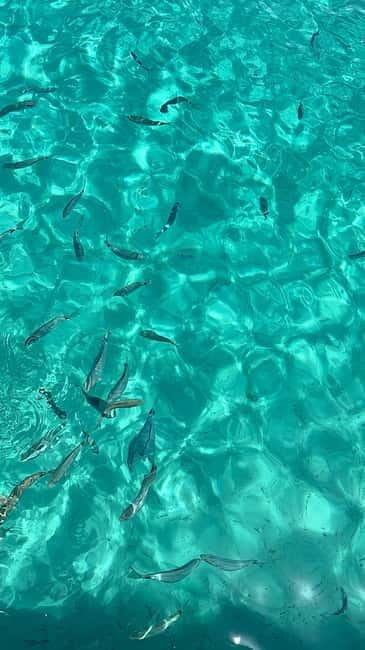 Zadar:3 Pearls of Zadar Speedboat Tour with Wine & Fruit - Wine, fruit, and why the small group matters