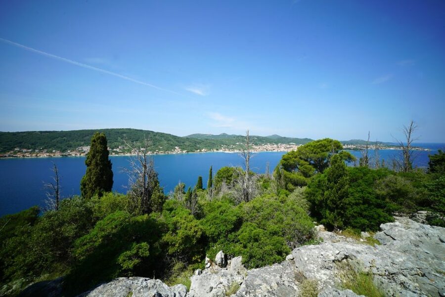 Zadar: Guided Speedboat Tour with Food, Oil & Wine Tasting - Stop 1: Ošljak Island for Swim, Snorkel, and a Fast Walk